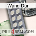 Hard Wang 08